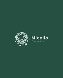 Micelio